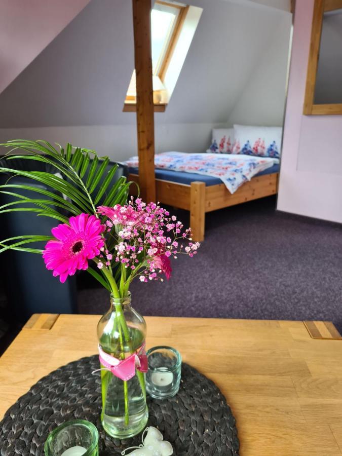 Apartment Schneestern Зуль Экстерьер фото